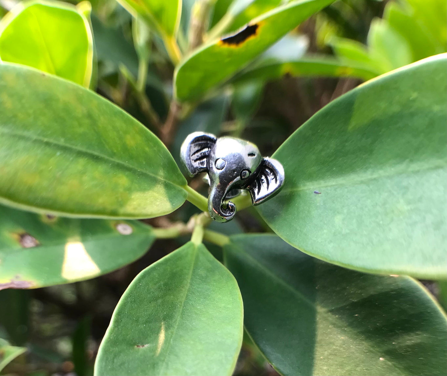 Elephant head Sterling Silver 925 earrings - TSE007