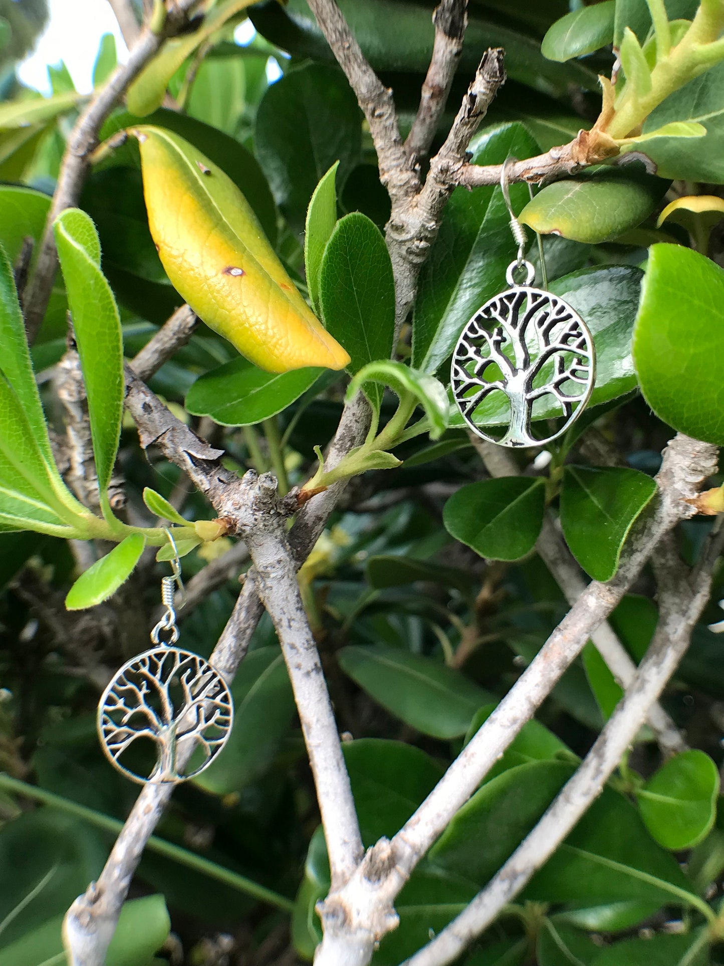 Tree of life earrings Sterling Silver 925 - TSE039