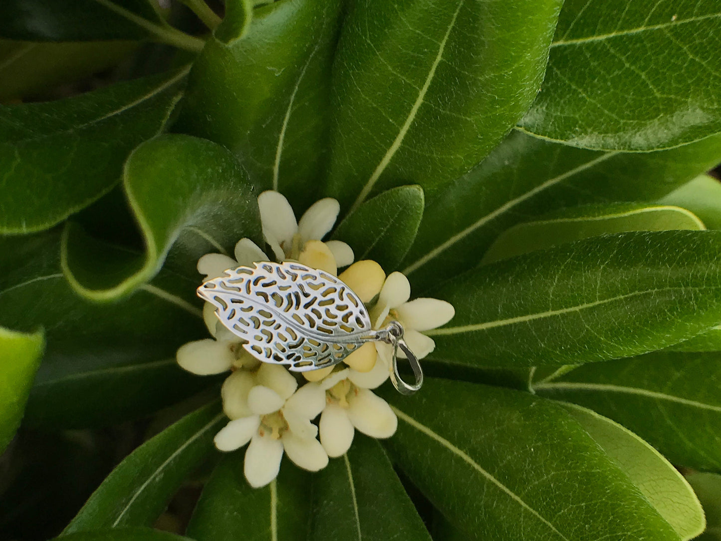 Silver leaf pendant Sterling Silver 925 - TSE037