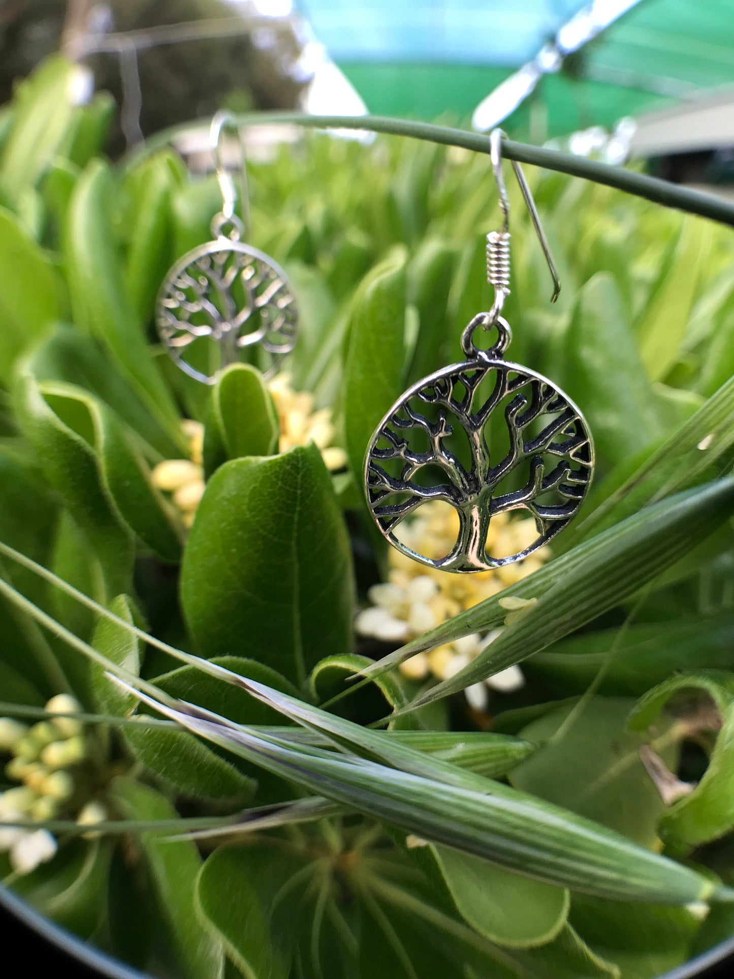 Tree of life earrings Sterling Silver 925 - TSE039